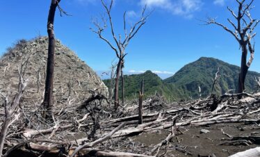 Tigrillo Trail