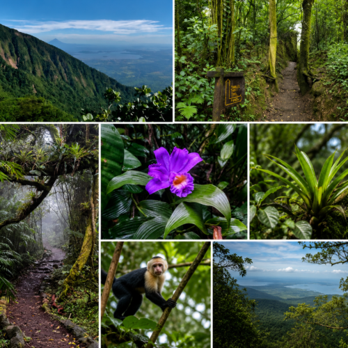 Tigrillo Trail on Mombacho Volcano