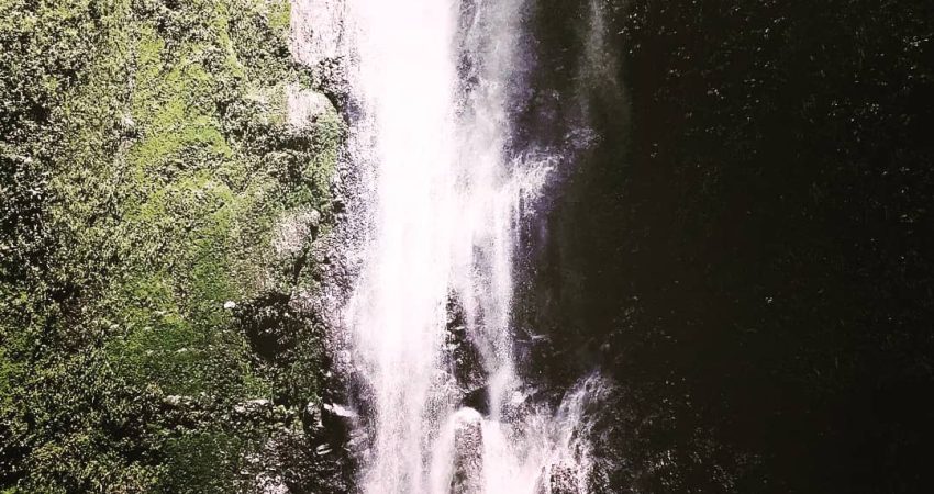 Ometepe-Island-41